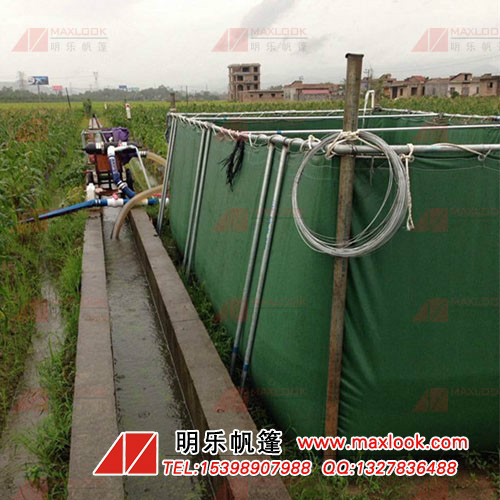 帆布魚池圖片/帆布魚池樣板圖 (1)