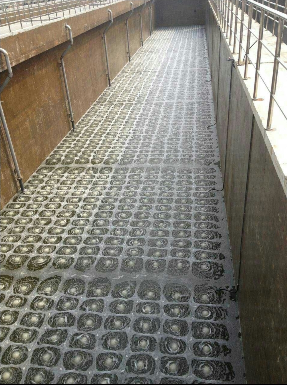 進(jìn)口盤式曝氣器圖片/進(jìn)口盤式曝氣器樣板圖 (2)