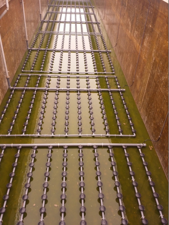 供應德國進口盤式曝氣器