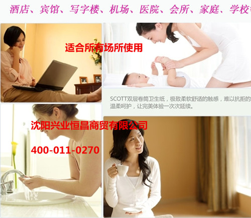 新款熱賣金佰利小卷衛(wèi)生紙0321-00圖片