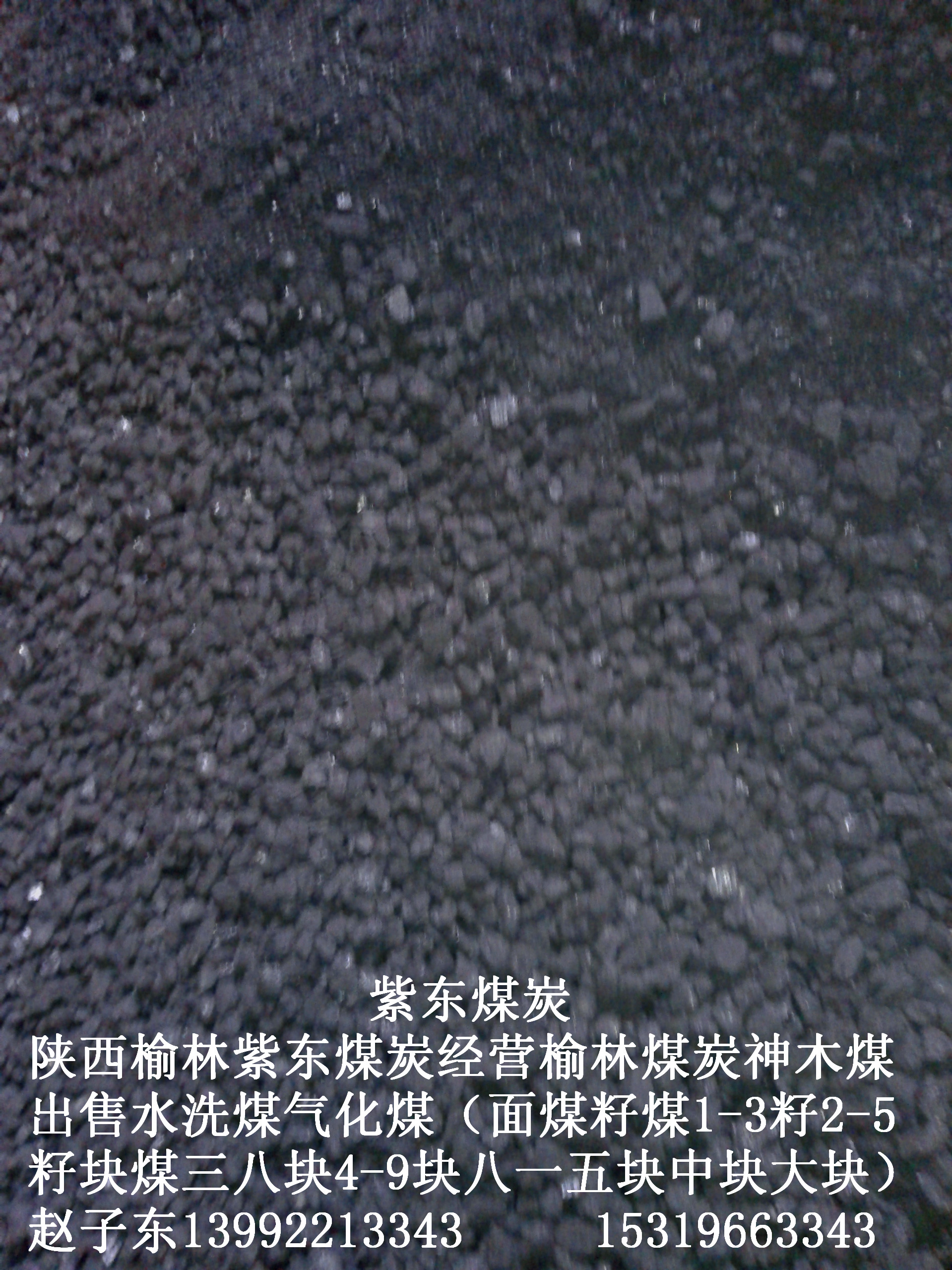 銷售煤炭陜西榆林煤炭陜西神木煤炭圖片/銷售煤炭陜西榆林煤炭陜西神木煤炭樣板圖 (1)