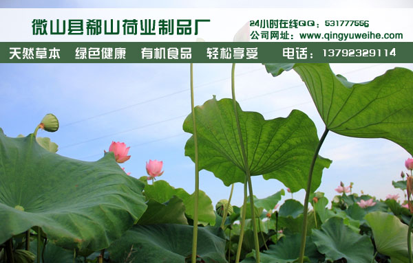 供應(yīng)用于荷葉的荷葉粥的做法