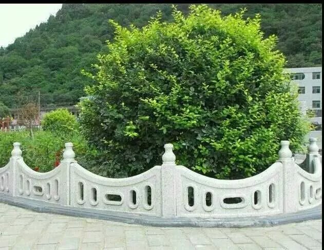 草坪護(hù)欄圖片/草坪護(hù)欄樣板圖 (1)