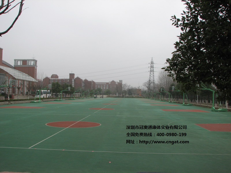 硅PU球場材料與丙烯酸圖片/硅PU球場材料與丙烯酸樣板圖 (2)