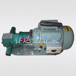 WCB型手提泵 便攜式微型手提泵圖片/WCB型手提泵 便攜式微型手提泵樣板圖 (1)