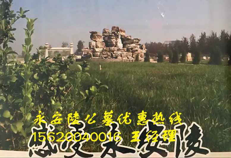 墓地圖片/墓地樣板圖 (2)