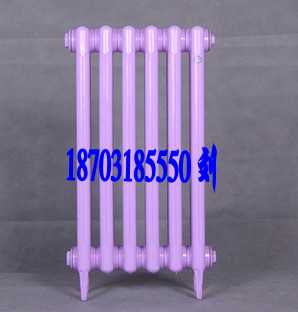 鑄鐵換熱器圖片/鑄鐵換熱器樣板圖 (3)