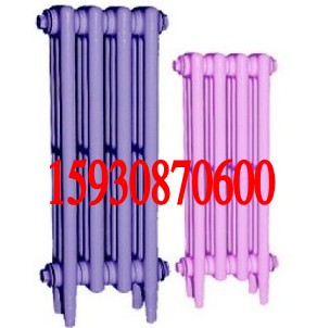 灰鑄鐵散熱器圖片/灰鑄鐵散熱器樣板圖 (2)