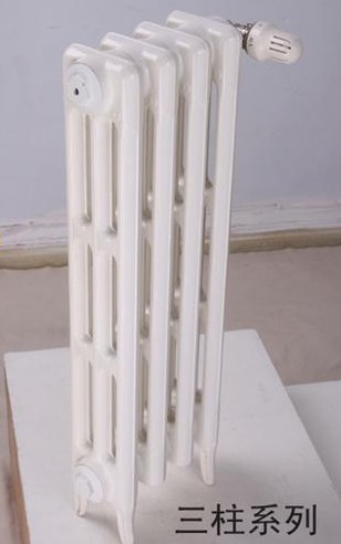 鑄鐵換熱器圖片/鑄鐵換熱器樣板圖 (4)