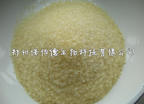 供應(yīng)供應(yīng)食品級食用明膠生產(chǎn)廠家