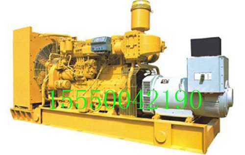 秸稈氣發(fā)電機(jī)組圖片/秸稈氣發(fā)電機(jī)組樣板圖 (3)