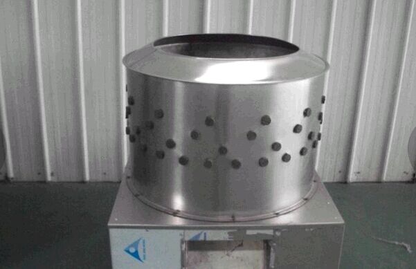 雞爪脫皮圖片/雞爪脫皮樣板圖 (2)