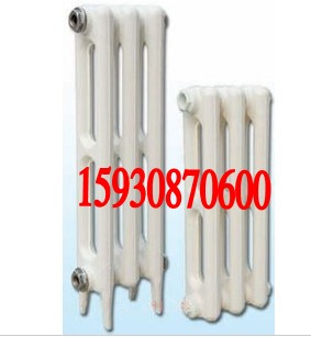 桶/橢柱翼745型鑄鐵散熱器暖氣片圖片/桶/橢柱翼745型鑄鐵散熱器暖氣片樣板圖 (2)