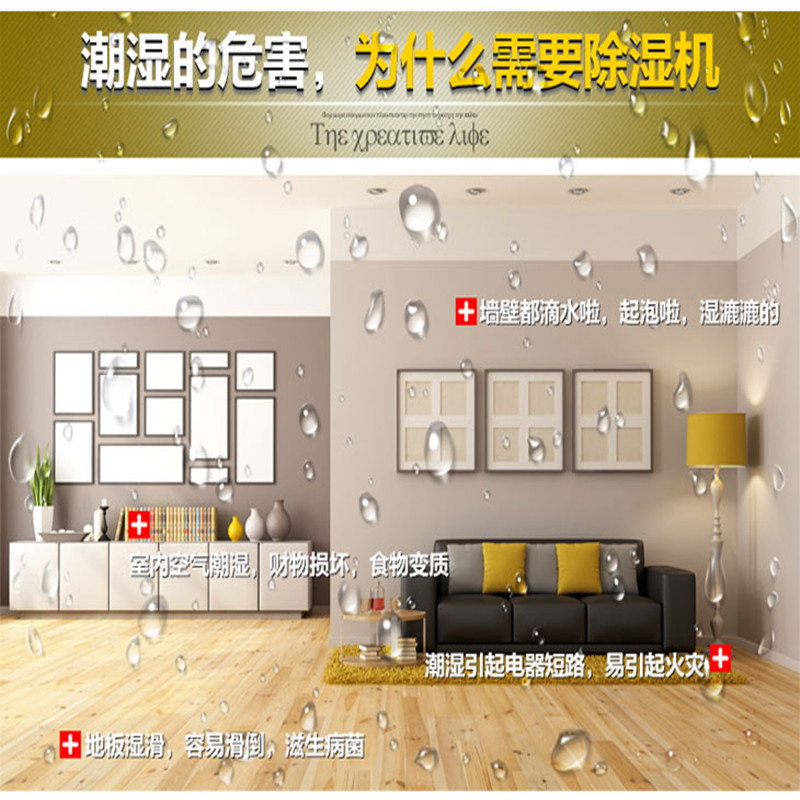 上海夏季家用高效除濕機圖片/上海夏季家用高效除濕機樣板圖 (3)