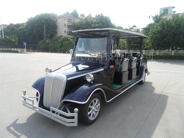 湖南電動老爺看房車圖片/湖南電動老爺看房車樣板圖 (4)