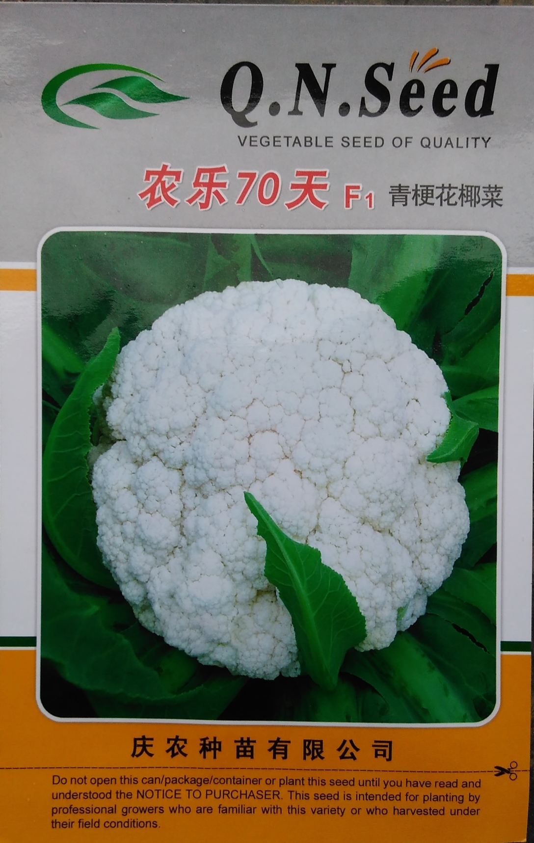 供应用于种植食用的农乐70天松花菜种子