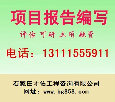 石家莊化工可行性研究報告范文編寫安全可靠
