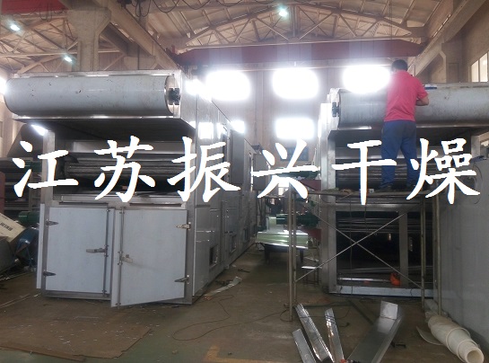 丹參圖片/丹參樣板圖 (4)
