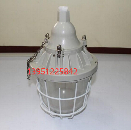 防爆燈圖片/防爆燈樣板圖 (3)