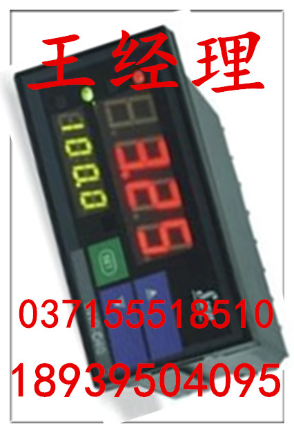 SWP-TC-903-0A计数仪表图片