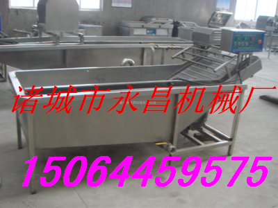 蔬菜罐頭清洗機(jī)圖片/蔬菜罐頭清洗機(jī)樣板圖 (3)