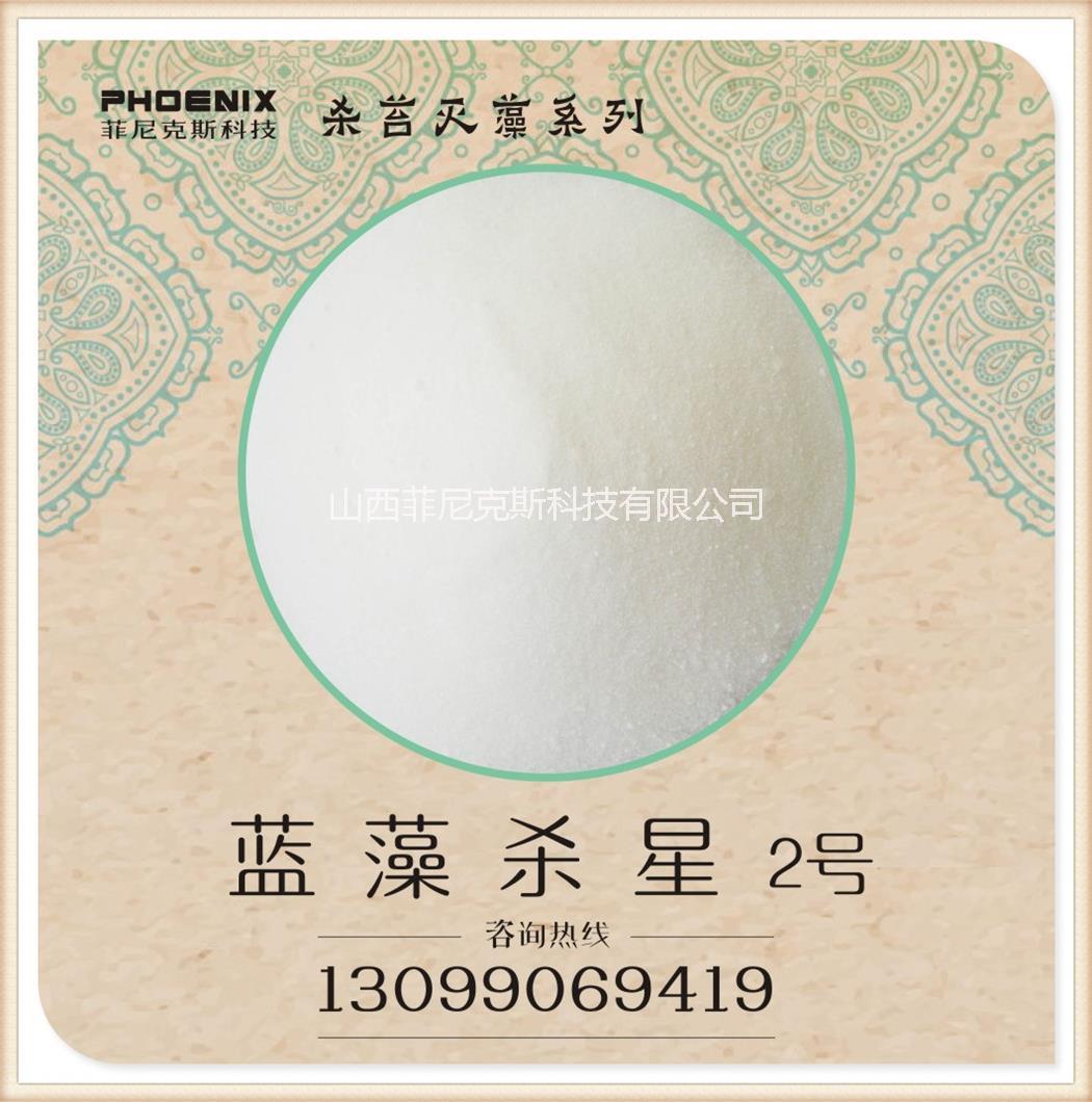 藍藻圖片/藍藻樣板圖 (2)