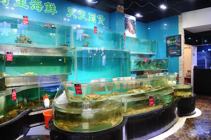 酒店海鮮池圖片/酒店海鮮池樣板圖 (1)