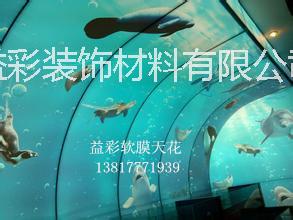 嘉興軟膜天花圖片/嘉興軟膜天花樣板圖 (4)