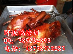 板鴨圖片/板鴨樣板圖 (3)