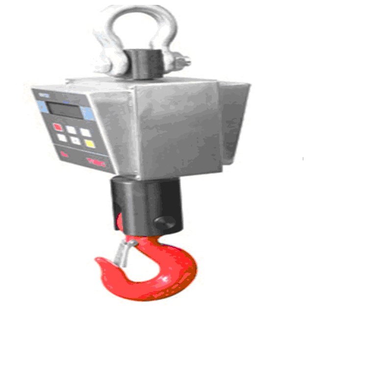 EX-10T電子防爆吊秤圖片