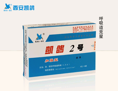 鴿藥.【凱鴿2號(hào)加強(qiáng)型】圖片