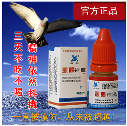 供应用于鸽病的赛鸽保健【凯鸽神液5ml】提升体质,提升抗病,增耐力