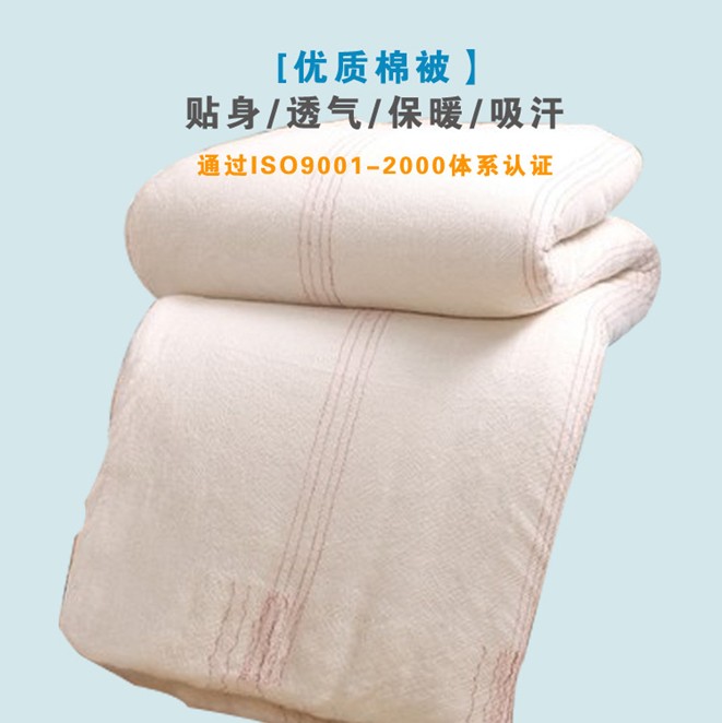 供應(yīng)湖北昊人有網(wǎng)棉胎廠家生產(chǎn)批發(fā)
