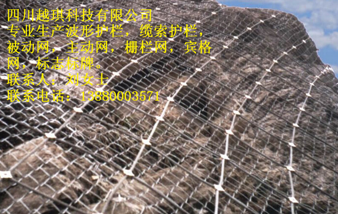主動(dòng)防護(hù)網(wǎng)圖片/主動(dòng)防護(hù)網(wǎng)樣板圖 (3)