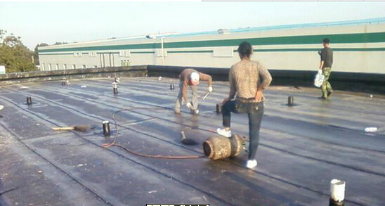 龍崗防水補(bǔ)漏公司深圳防水圖片