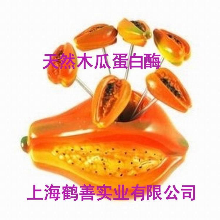木瓜蛋白酶圖片/木瓜蛋白酶樣板圖 (2)