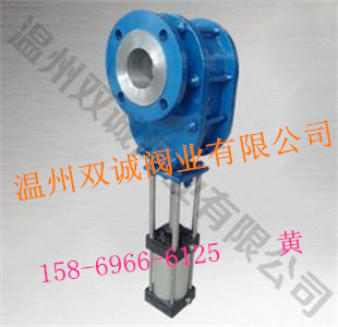 雙閘板圖片/雙閘板樣板圖 (3)