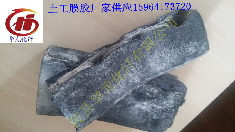 土工膜膠圖片/土工膜膠樣板圖 (3)