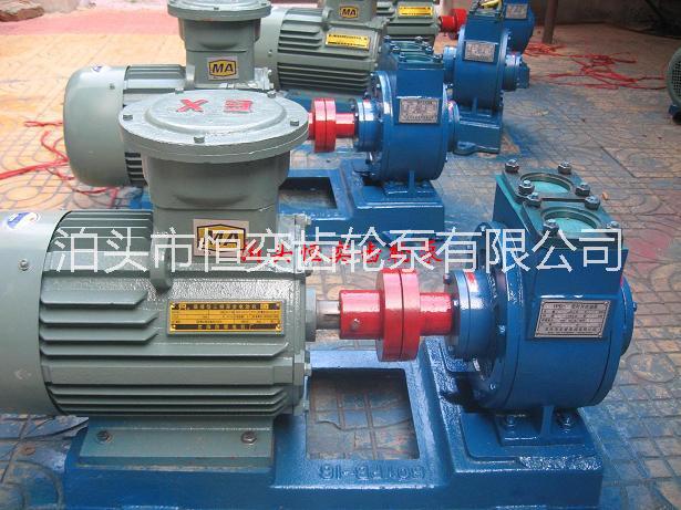 圓弧齒輪泵 泊頭恒奕防爆型YHCB型圓弧齒輪泵