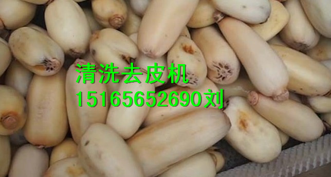大型蓮藕去皮機(jī)，諸城佳品，馬鈴薯去皮機(jī)