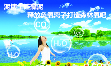 供應(yīng)用于內(nèi)墻涂料的負(fù)離子硅藻泥