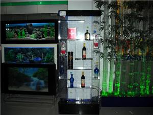 生態(tài)魚缸圖片/生態(tài)魚缸樣板圖 (4)
