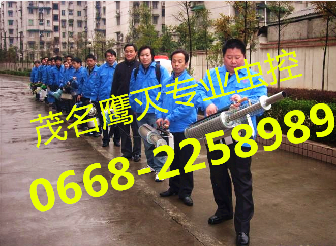 水東哪里有專業(yè)徹底的滅白蟻公司圖片/水東哪里有專業(yè)徹底的滅白蟻公司樣板圖 (1)