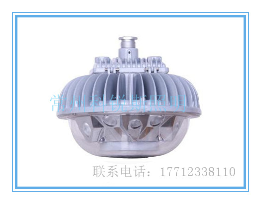 厂房 炉本体、锅炉房、廊道、栈桥、炉本体、煤仓内等场所固定照明 LZY8610 LED防眩平台灯