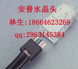 供應(yīng)安普超五類水晶頭廠家直銷，安普超五類水晶頭廠家價格，安普超五類水晶頭廠家代理