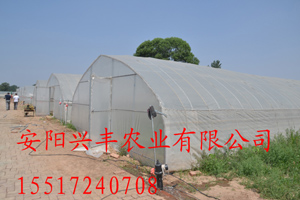 简易拱棚厂家供应用于温室大棚建造的简易拱棚