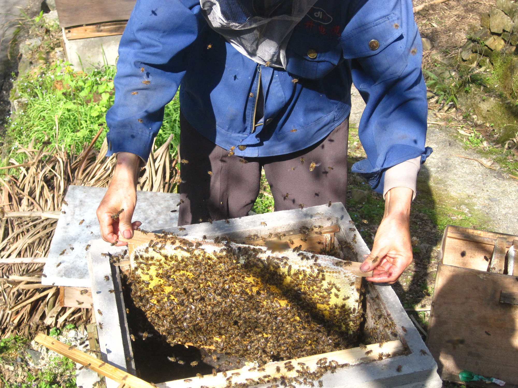 蜂蜜生产制造供应蜂蜜生产制造,蜂蜜厂家批发首选深圳原生堂健康管理有限公司，哪家蜂蜜最好？原生堂健康管理有限公司