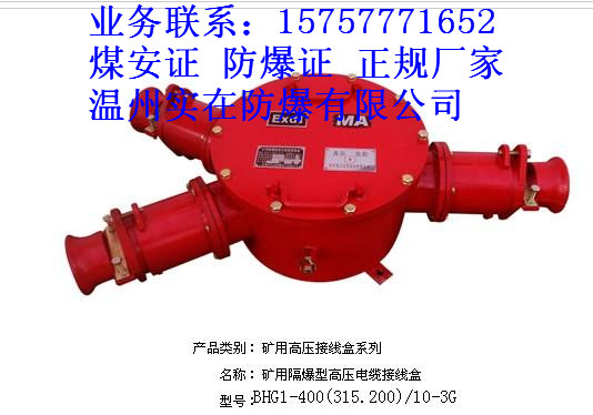 供应高压接线盒厂家 矿用高压接线盒 矿用隔爆型高压接线盒BHG6-400/10-3G