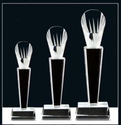 西安水晶獎杯圖片/西安水晶獎杯樣板圖 (2)