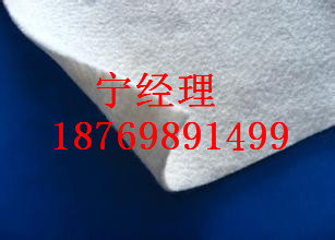 短纖針刺土工布圖片/短纖針刺土工布樣板圖 (2)